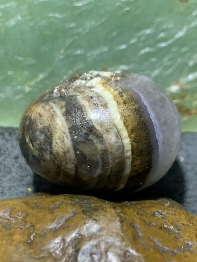 精美原皮冰飘天眼纹战国红玛瑙手工雕刻一念随形吊坠一个 精美原皮冰飘天眼纹战国红玛瑙手工雕刻一念随形吊坠一个