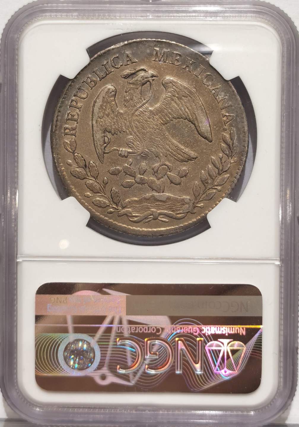 博洋堂“臻选之作”世界钱币精品专场暨第020期（全场包邮）