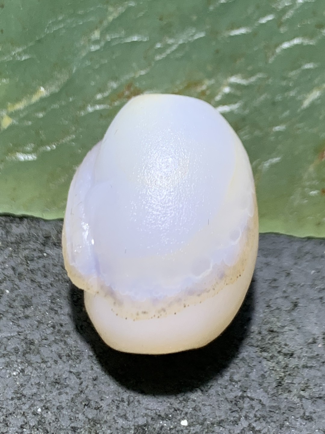 精美亚光高玉化海洋玉髓手工俏色巧雕富贵有鱼随形桶珠一个！