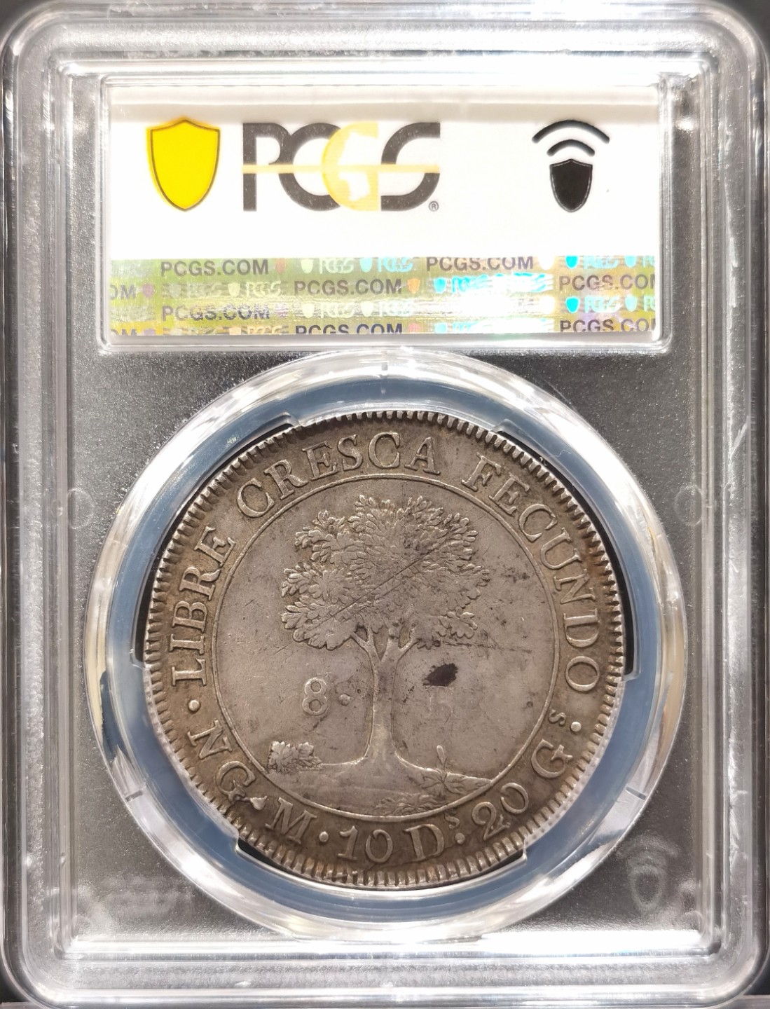 博洋堂“臻选之作”世界钱币精品专场暨第020期（全场包邮） PCGS AU50 中美洲危地马拉1825年太阳脸小树8里亚尔 五彩原光  收藏热门