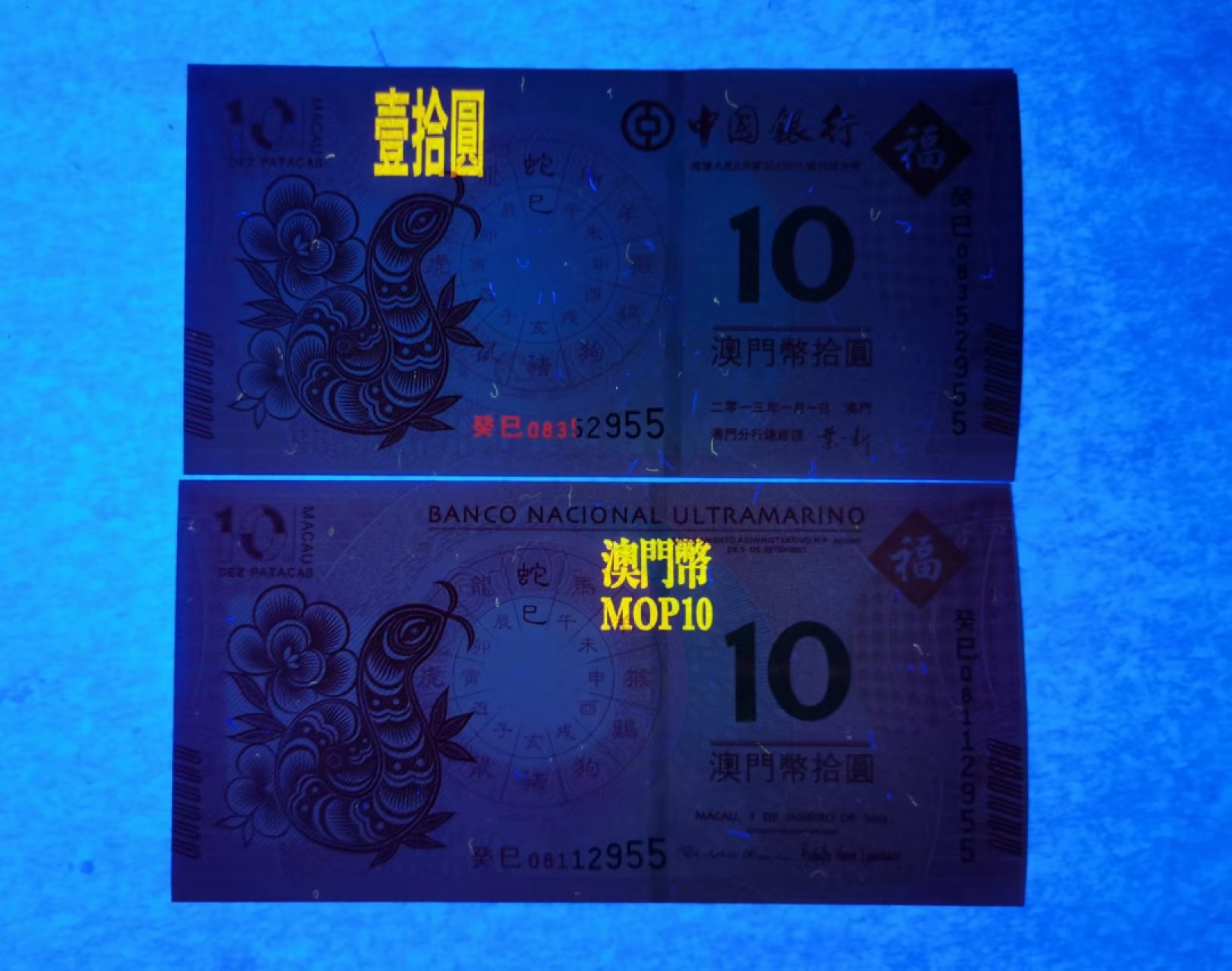 外钞荟萃x民国风云专场 澳门生肖纪念钞 蛇钞无47尾55 全新品相