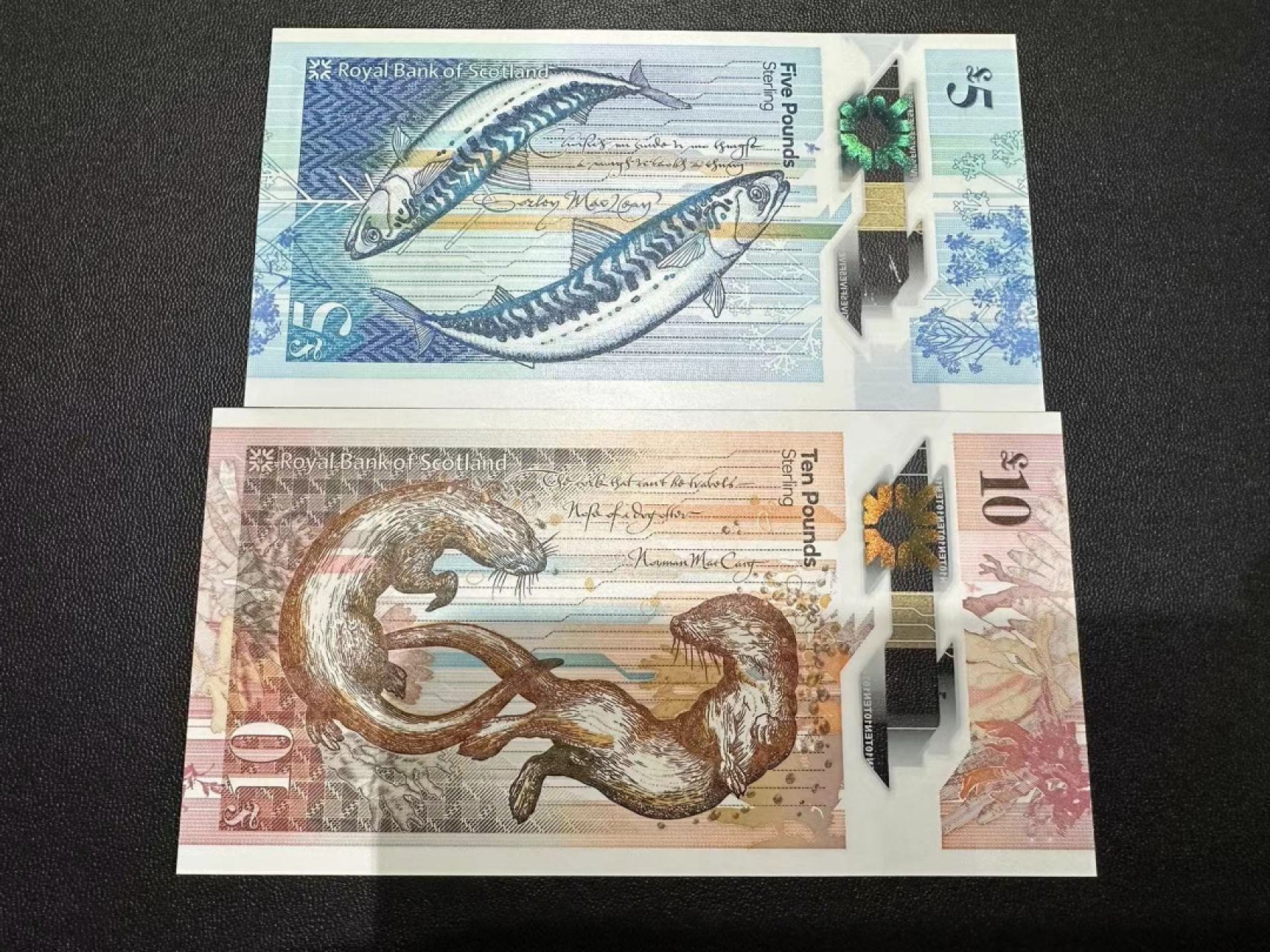 《外钞收藏家》第二百五十五期（连拍第三场） 苏格兰皇家银行5、10镑两张 AA首发冠 无47 全新UNC