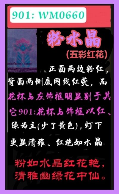 【雪鹰🌊】3.24★26期:顶级精品汇，901【粉水晶】(五彩红花)，902【金蟒王】，【至尊黄金龙】，【烽火长城】…… - 901🌺【粉水晶】🌺:  正面两边粉红，背长城两侧底网线血红荧光；花杯与饰框以红为主、辅以清幽的蓝绿(与众多901以红、黄为主差别甚巨)，灯下犹如水晶般清雅脱俗美丽无比！901【粉水晶】比961出现的更早、更稀缺，近两军本人也仅发现此流水，边希望大家广泛的寻找对比。【粉水晶】的发现，为本就稀少的901荧光增添一亮丽风景线！也将闪耀其独特魅力而广受追捧！数量不多，惜之惜之。刀拆绝品相适合评级珍藏。