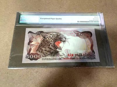 【Blue Auction】✨世界纸币精拍第306期——南越豹子【精】 - 【实钞 升值品种】南越 1975年5000盾 经典豹子 PMG66EPQ 高分 收藏级 