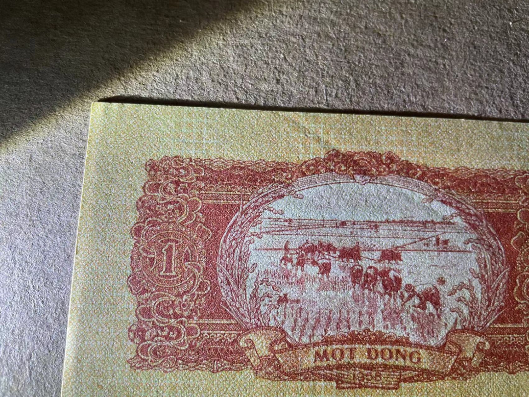 【Blue Auction】✨世界纸币精拍第306期——南越豹子【精】 越南 1958年1盾 劝降券 UNC（轻微印子 如图所示）