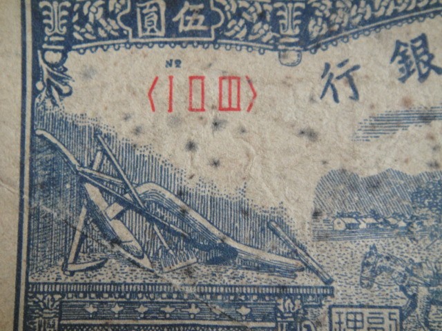 五元水牛