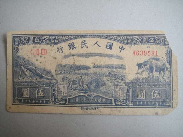 五元水牛