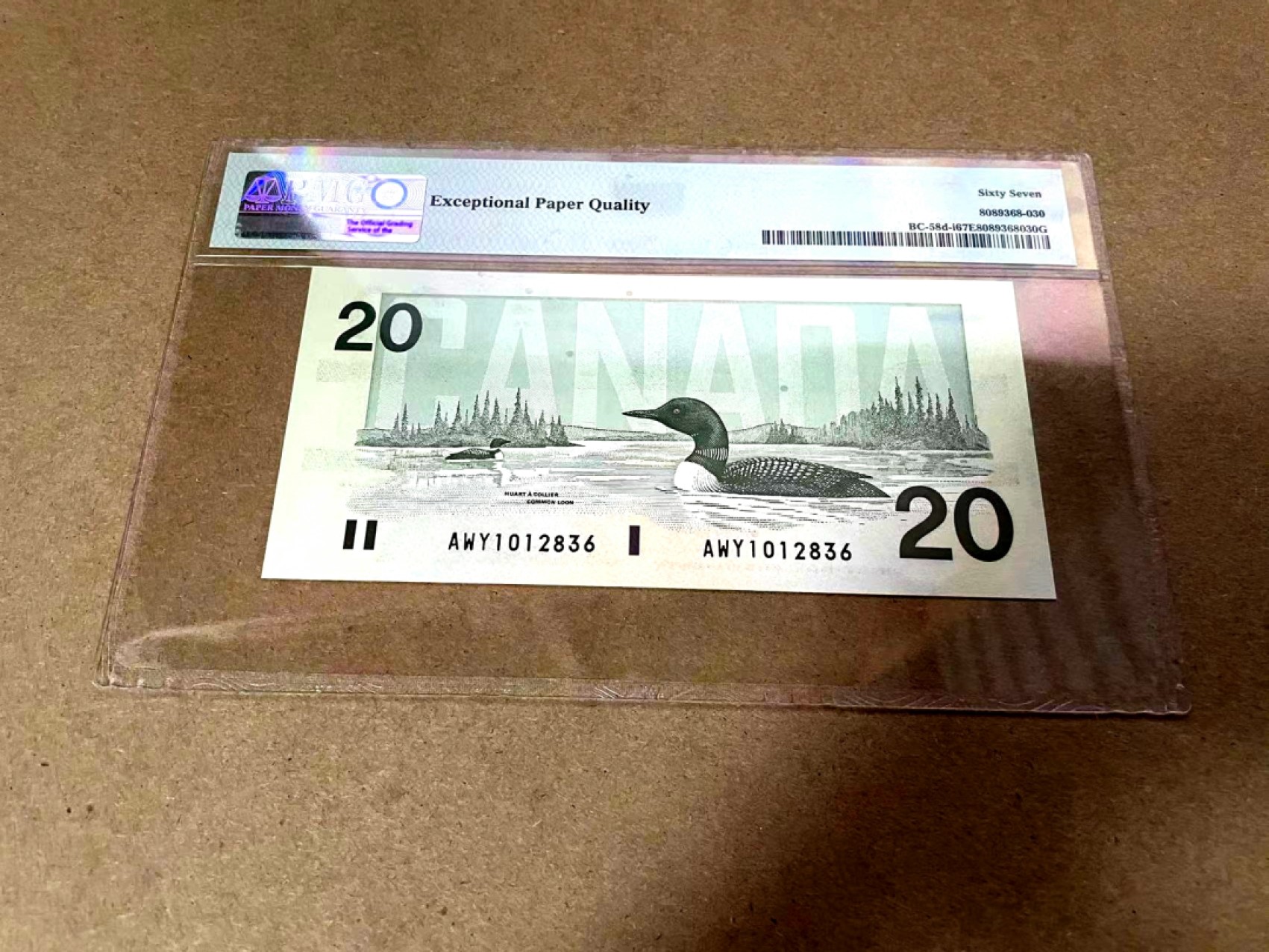 【Blue Auction】✨世界纸币精拍第306期——南越豹子【精】 【无47】加拿大 1991年20镑 PMG67EPQ 高分 女王