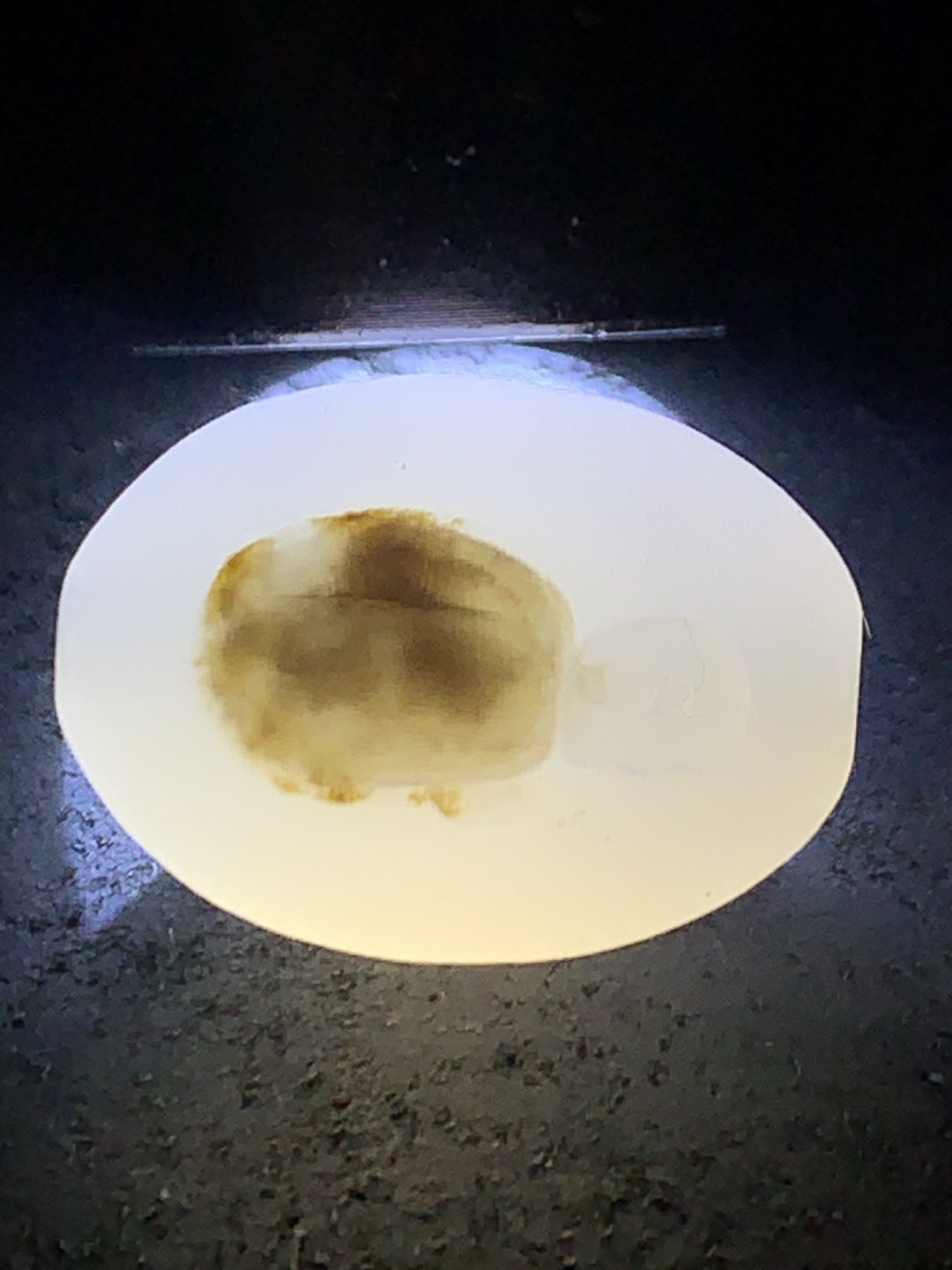 精美亚光高玉化海洋玉髓手工俏色巧雕无相佛桶珠一个！