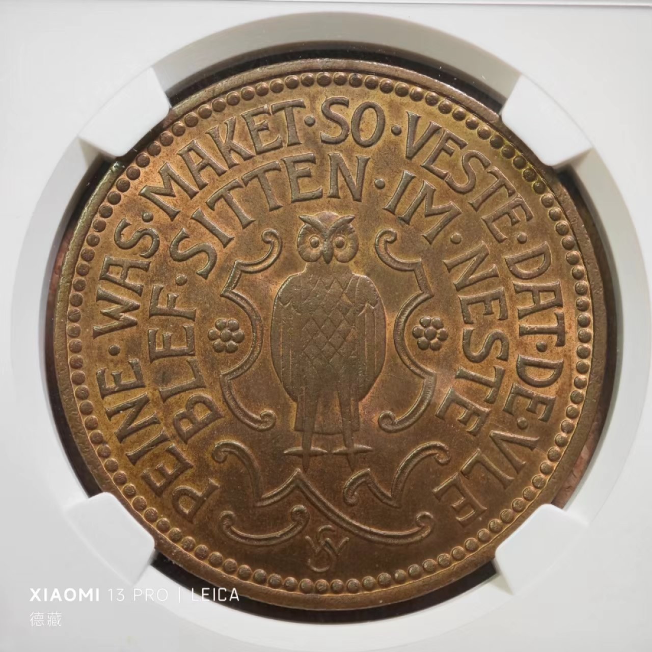 1923年德国德紧派内10000Kippe猫头鹰大铜币 NGC MS66