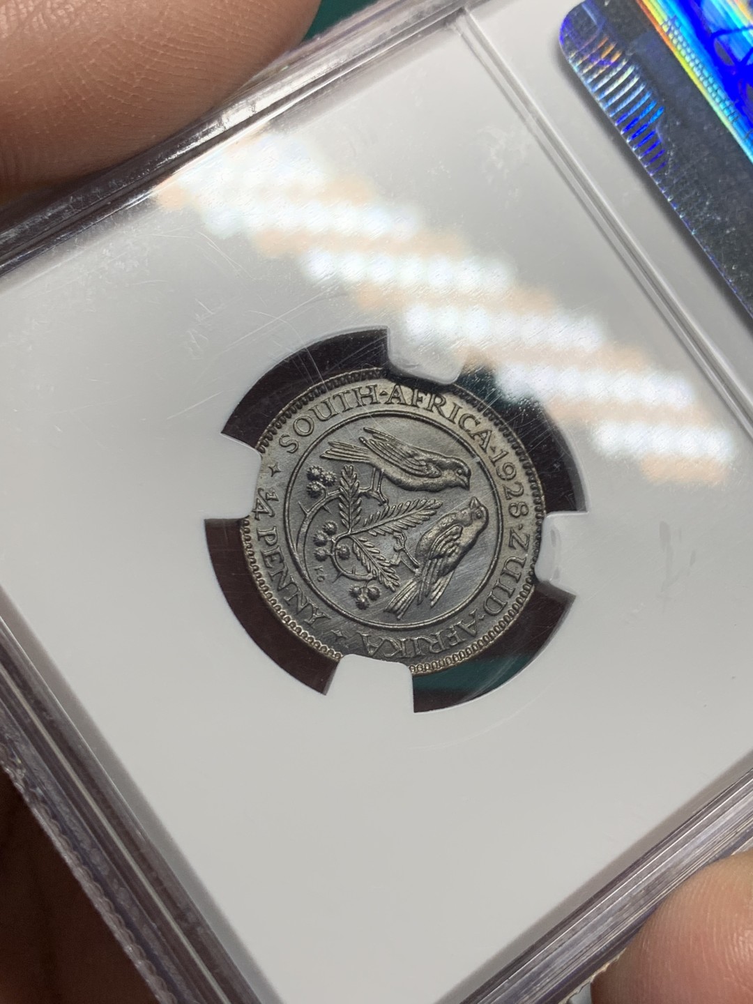 《竞宝斋》第147场-周日，周一 2场 (全场包邮) 亚军 NGC MS66BN 英属1928 南非乔五 1/4便士 顶级状态