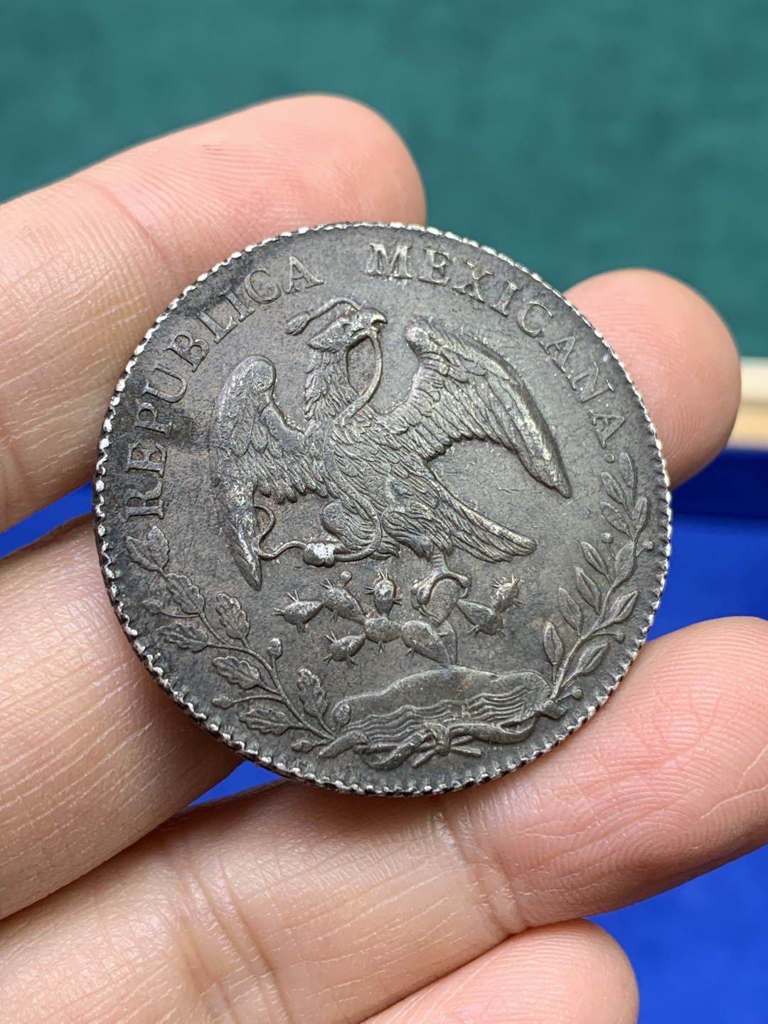 《竞宝斋》第147场-周日，周一 2场 (全场包邮) 墨西哥1877年8R鹰洋 原味大老黑全羽鹰