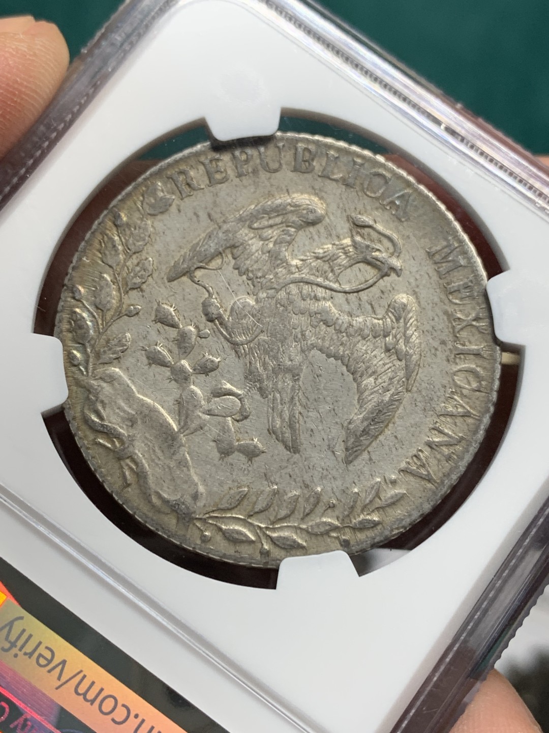 《竞宝斋》第147场-周日，周一 2场 (全场包邮) NGC AU 墨西哥 1893年 CA MM版 鹰洋 大银币 包浆自然 没有看出清洗的痕迹