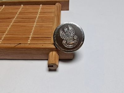 【8个洞收藏】第6场★0押0起一件包邮★女神专场(持续更新···) 7天连拍 回馈老粉 感谢陪伴   - 波兰机动部队 锈钉一枚