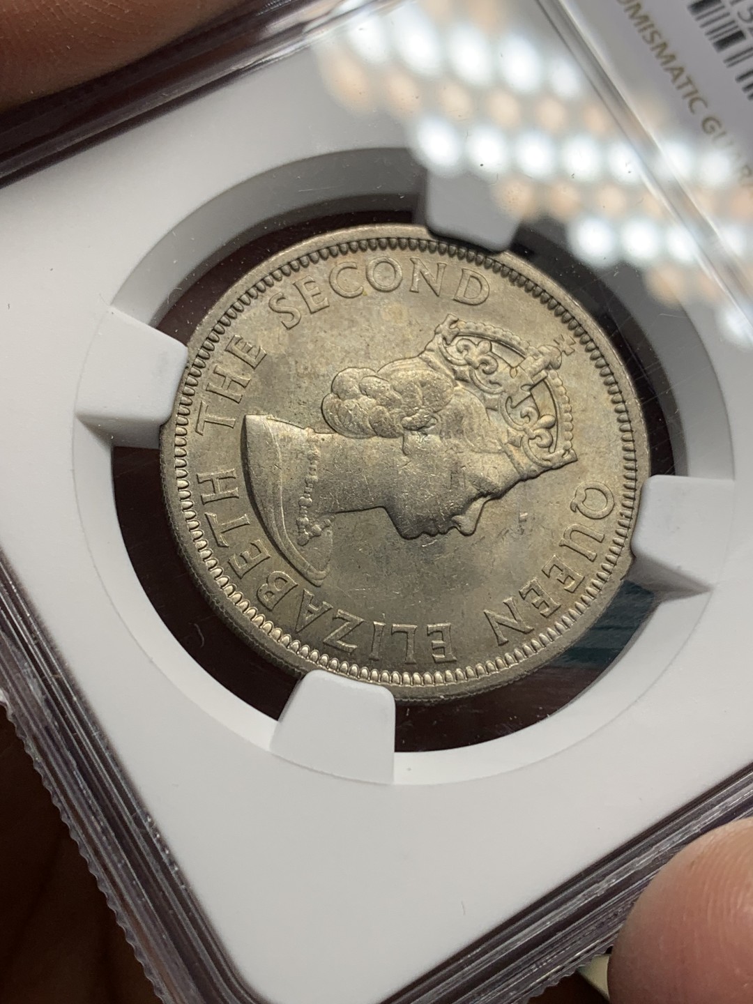 《竞宝斋》第147场-周日，周一 2场 (全场包邮) NGC MS64英属东加勒比1955年50分背面女王手握波塞冬的三叉戟并控制着马头鱼尾的神兽是希腊神话中的Hippocampu是，象征着掌握东加勒比海的海洋霸权