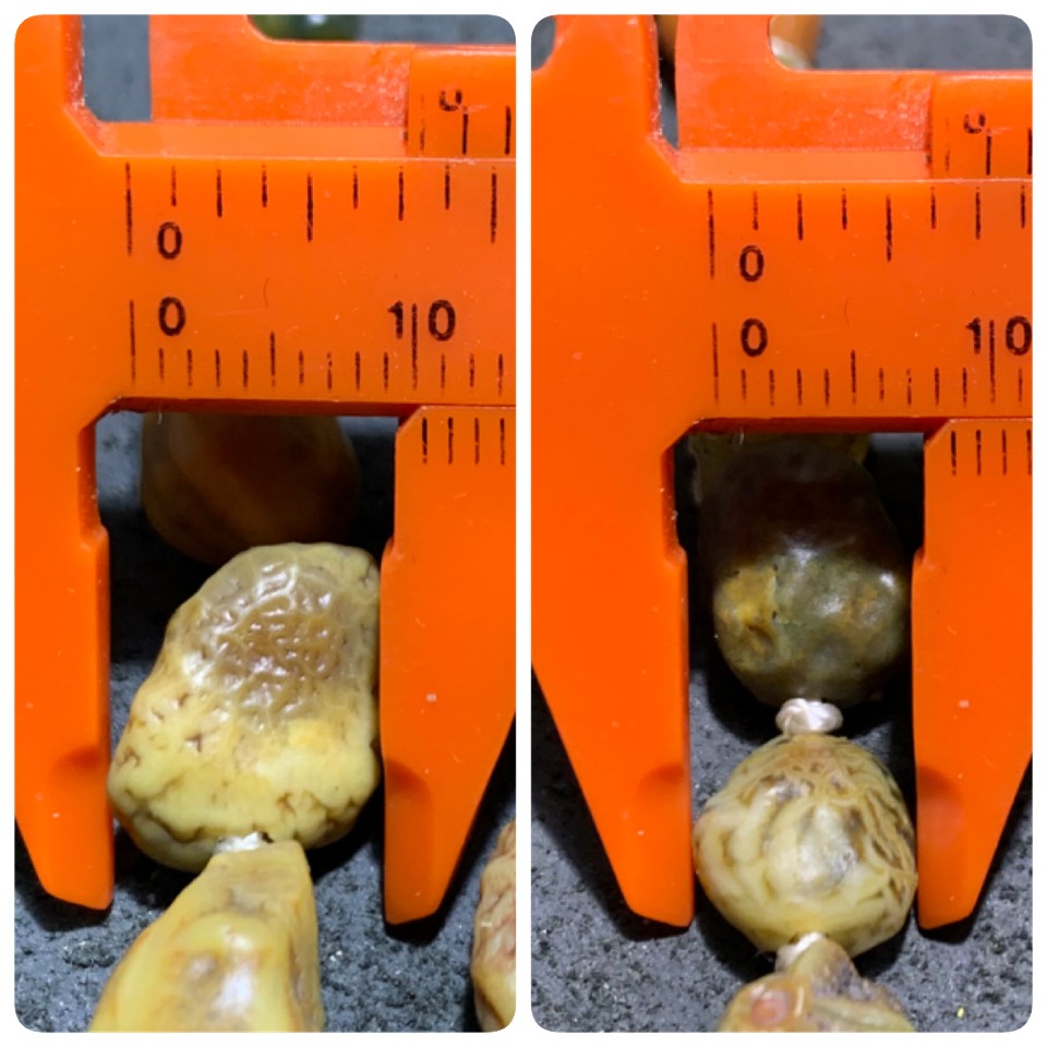 精美阿拉善筋脉玛瑙大颗粒原石108项链一条，