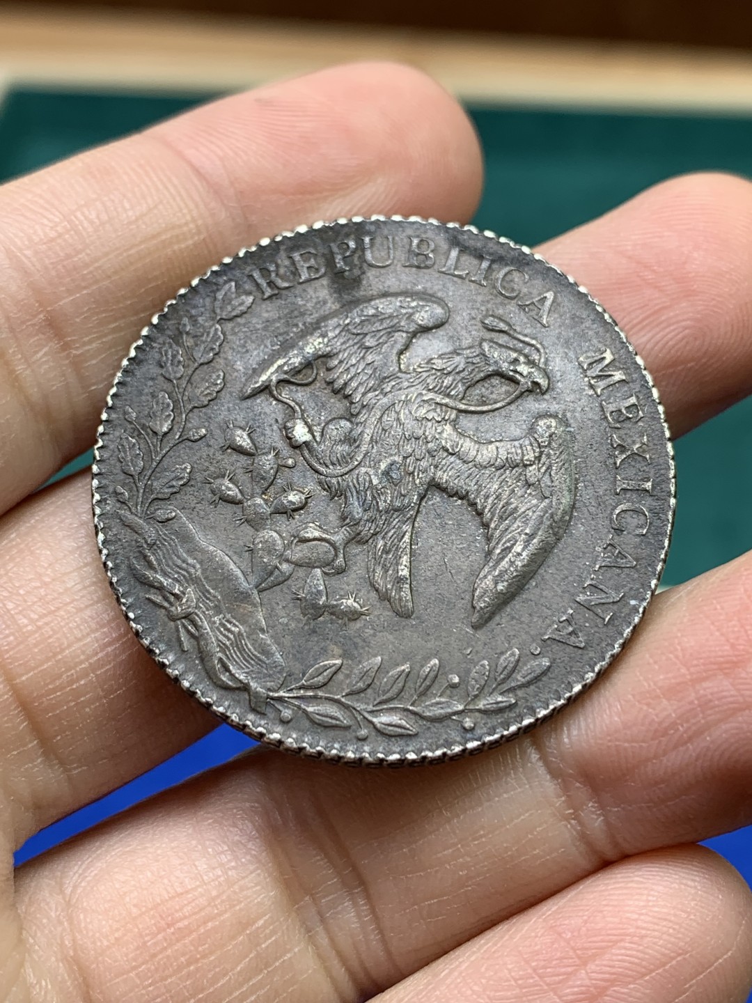 《竞宝斋》第147场-周日，周一 2场 (全场包邮) 墨西哥1877年8R鹰洋 原味大老黑全羽鹰