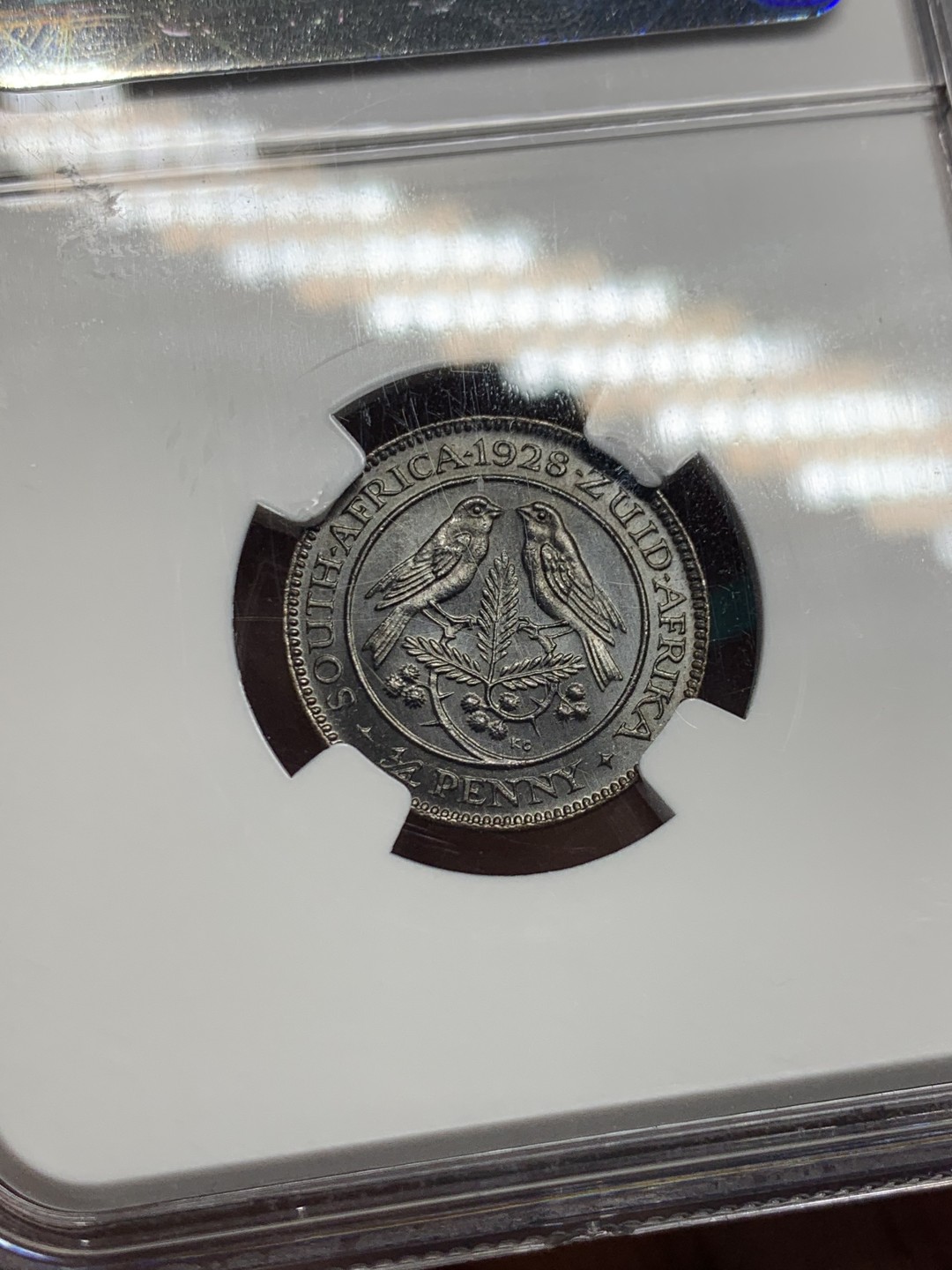 《竞宝斋》第147场-周日，周一 2场 (全场包邮) 亚军 NGC MS66BN 英属1928 南非乔五 1/4便士 顶级状态