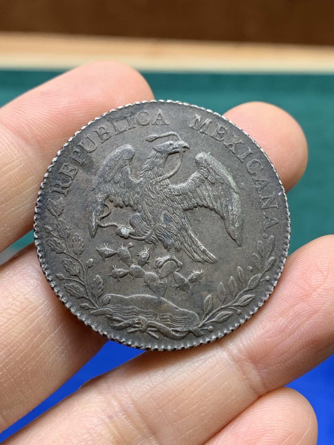 《竞宝斋》第147场-周日，周一 2场 (全场包邮) 墨西哥1877年8R鹰洋 原味大老黑全羽鹰