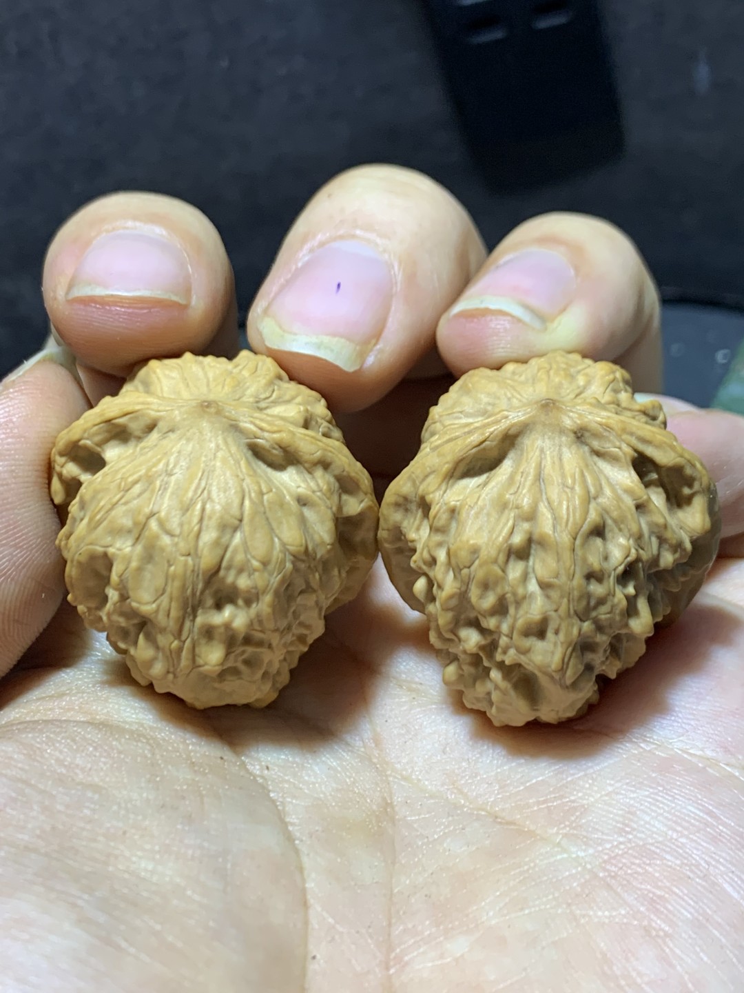 精美小众桃油野狼狮子头昌闷手捻文玩核桃一对