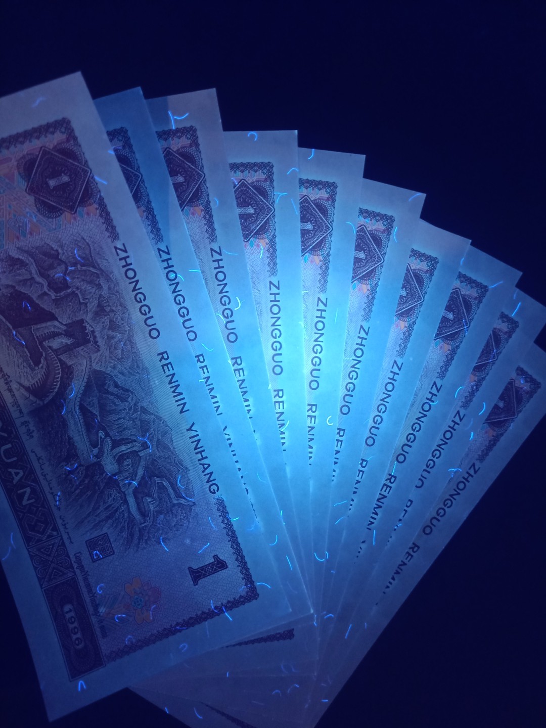 961五彩金花，独冠品种 