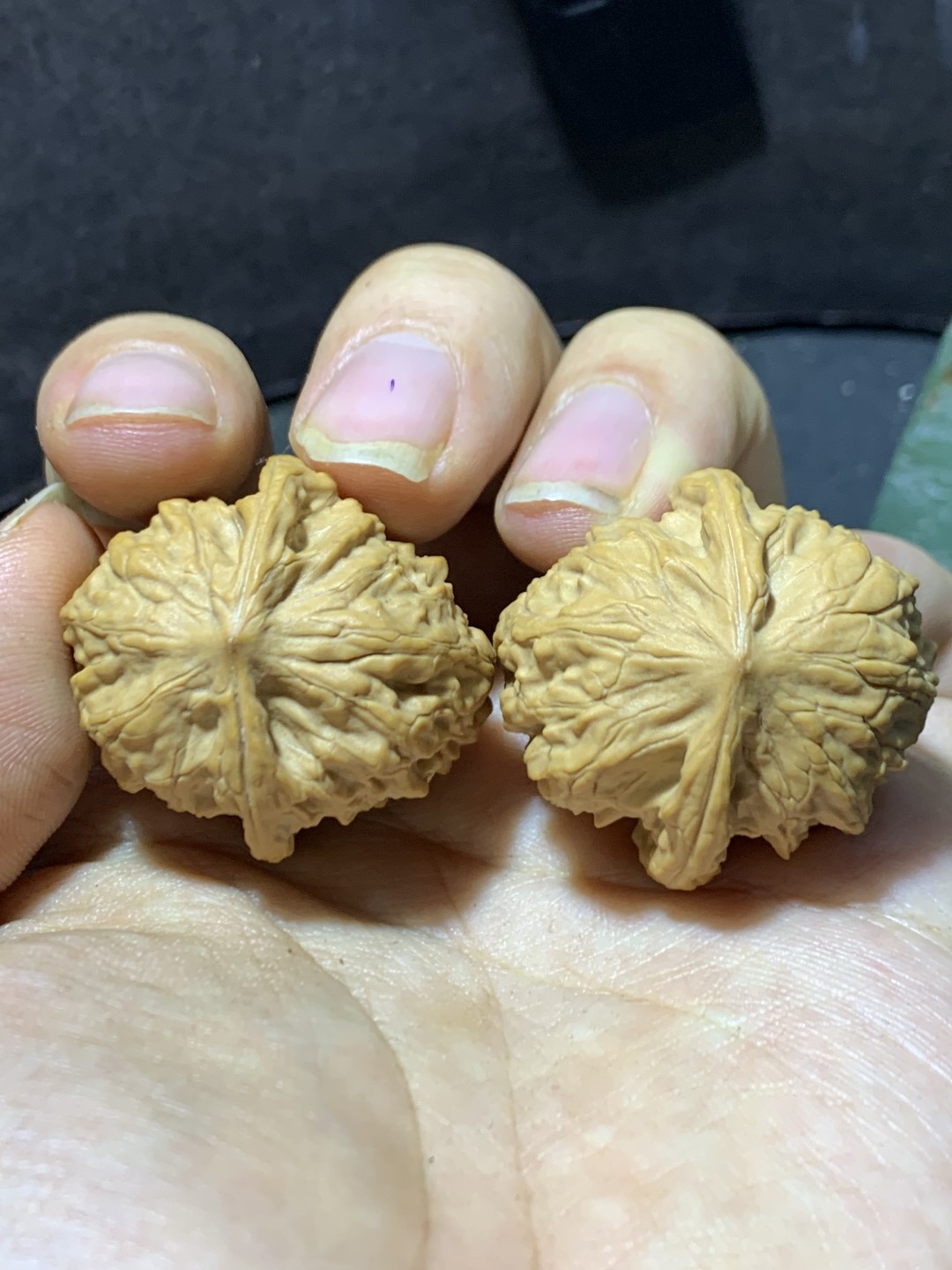 精美小众桃油野狼狮子头昌闷手捻文玩核桃一对