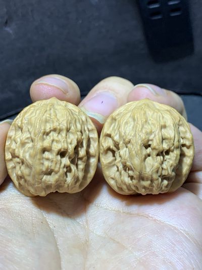 精美小众桃油野狼狮子头昌闷手捻文玩核桃一对 - 精美小众桃油野狼狮子头昌闷手捻文玩核桃一对