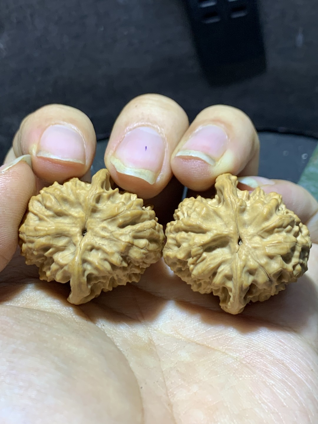精美小众桃油野狼狮子头昌闷手捻文玩核桃一对