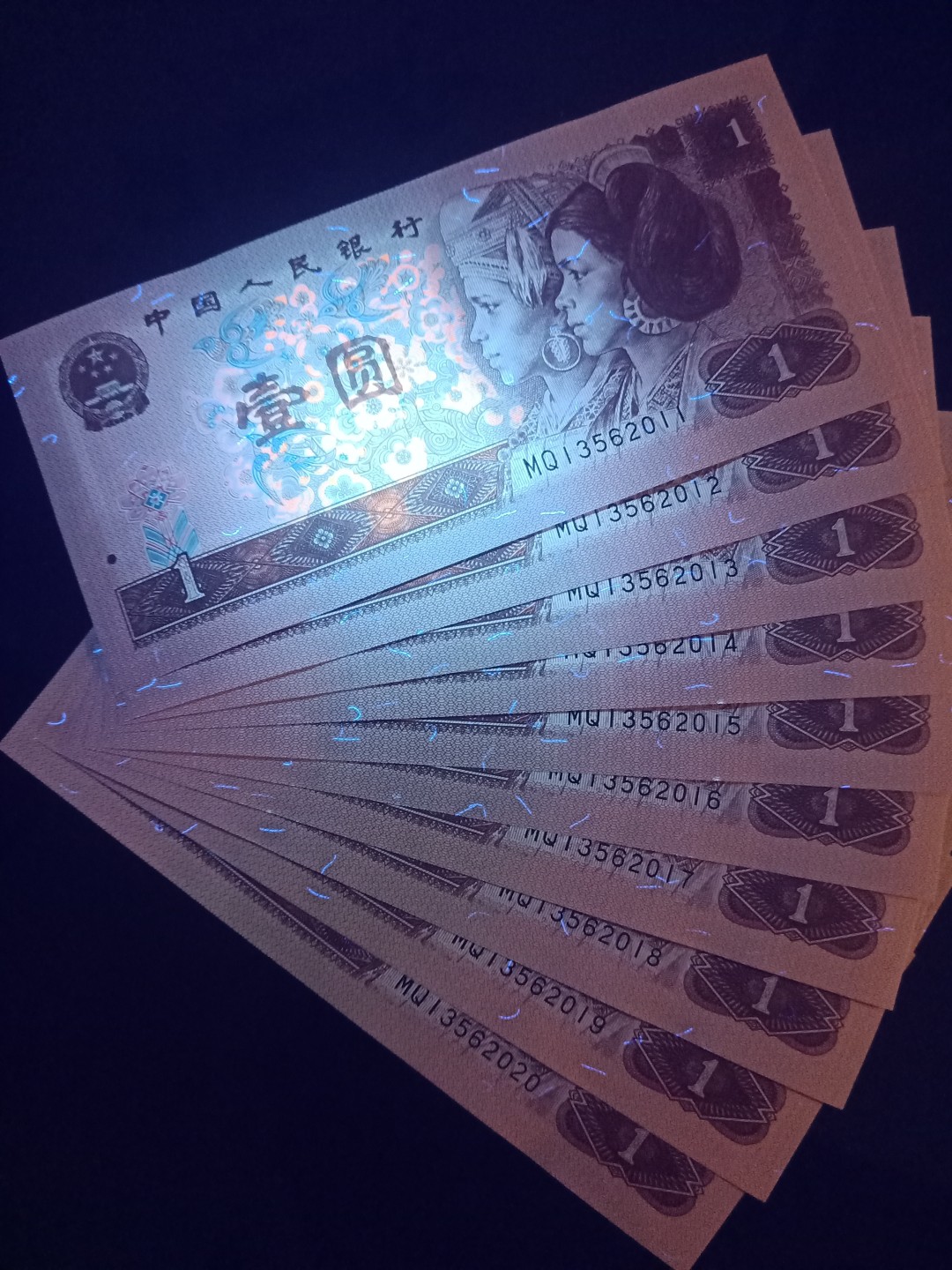 961五彩金花，独冠品种 