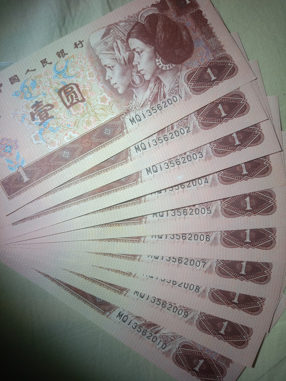 961五彩金花，独冠品种 