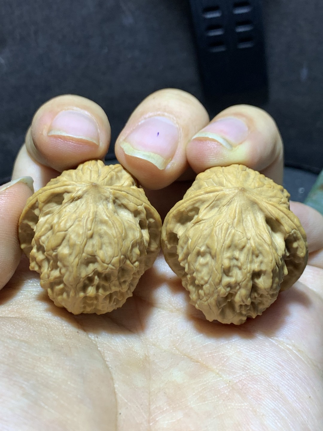 精美小众桃油野狼狮子头昌闷手捻文玩核桃一对