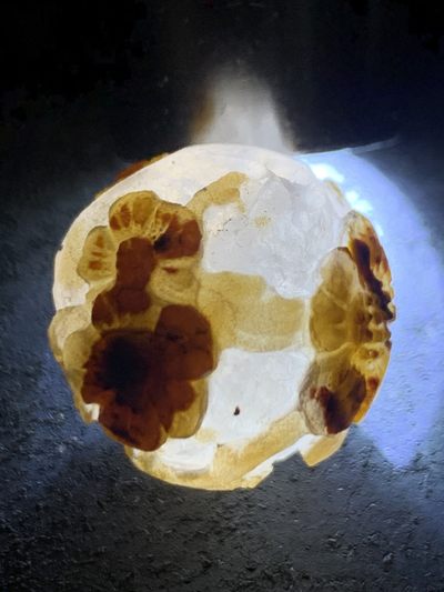 精美冰飘亚光战国红玛瑙手工俏色巧雕梅花随形圆珠一个， 精美冰飘亚光战国红玛瑙手工俏色巧雕梅花随形圆珠一个，