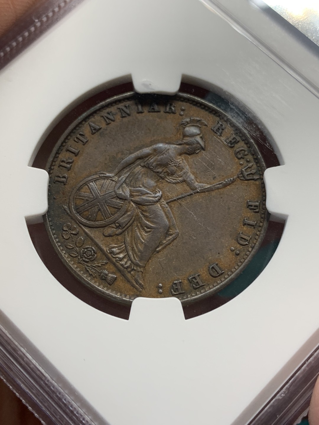 《竞宝斋》第148场-周日，周一 2场 (全场包邮) NGC-AU55BN 英国 1858年 维多利亚女王青年头像1/2便士铜币 年轻靓丽的小维 发丝高点细节清晰 状态出色 ngc严评