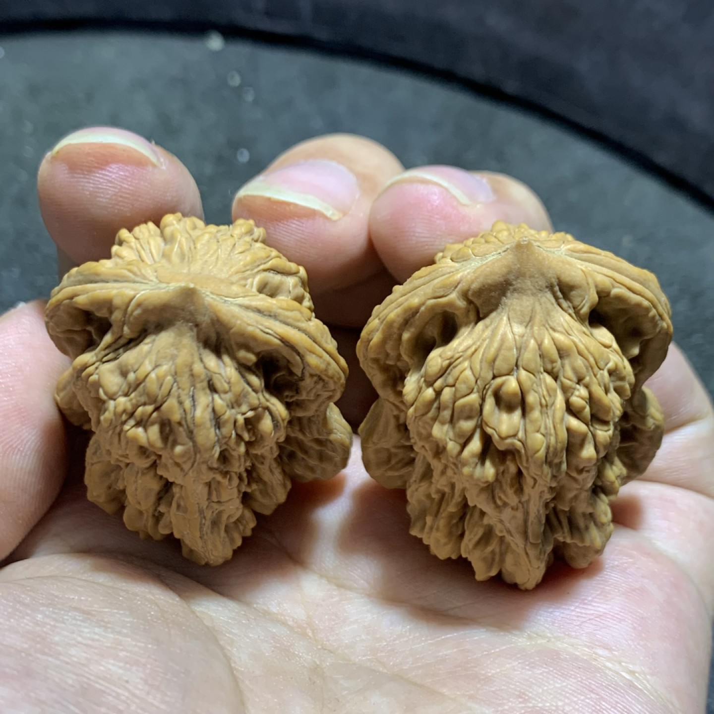 仅此一对，精美麦穗虎头异形葫芦文玩麻核桃一对！