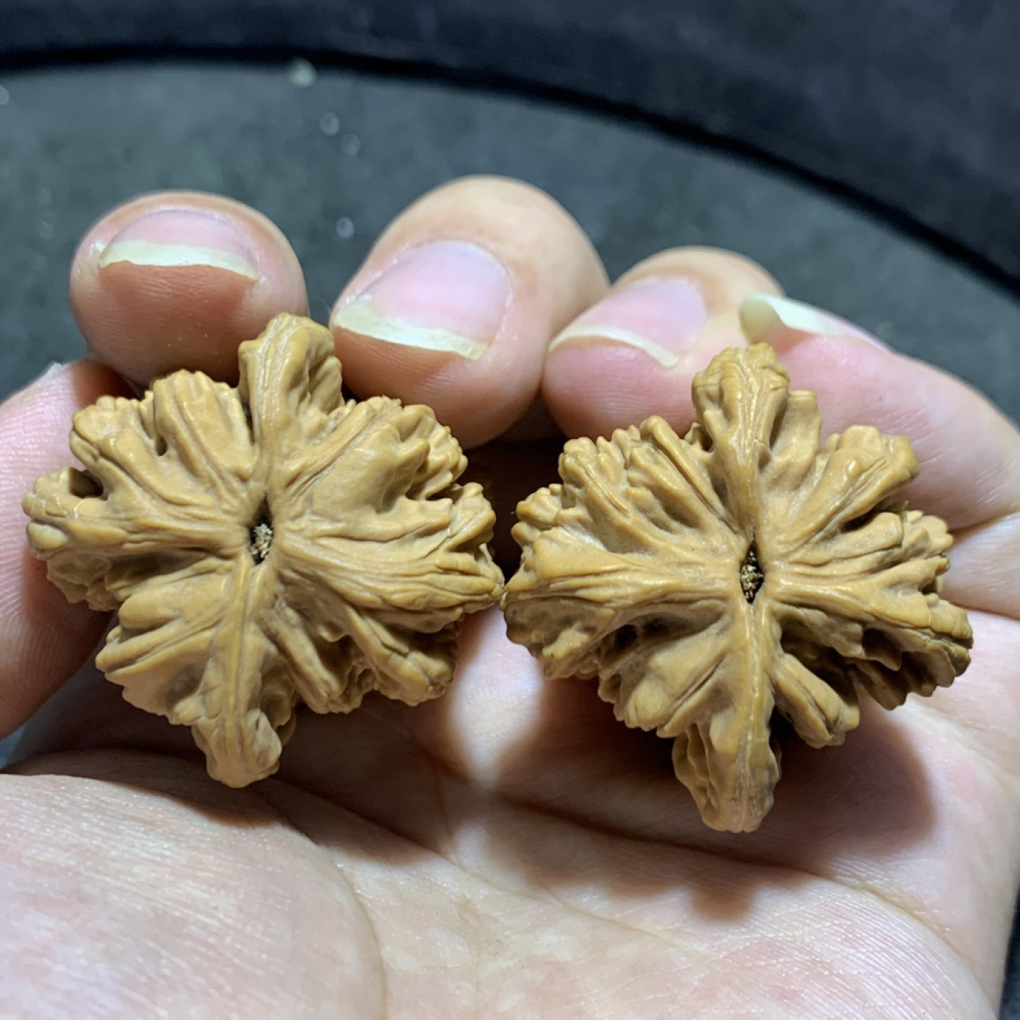仅此一对，精美麦穗虎头异形葫芦文玩麻核桃一对！