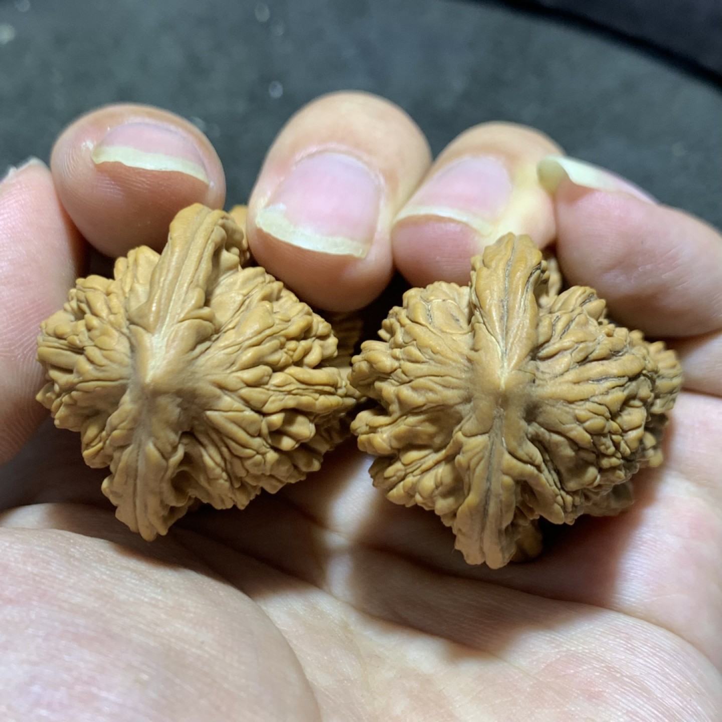 仅此一对，精美麦穗虎头异形葫芦文玩麻核桃一对！