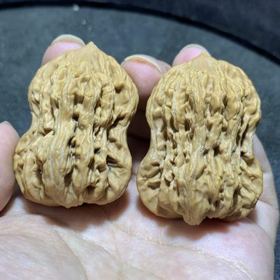 仅此一对，精美麦穗虎头异形葫芦文玩麻核桃一对！ - 仅此一对，精美麦穗虎头异形葫芦文玩麻核桃一对！