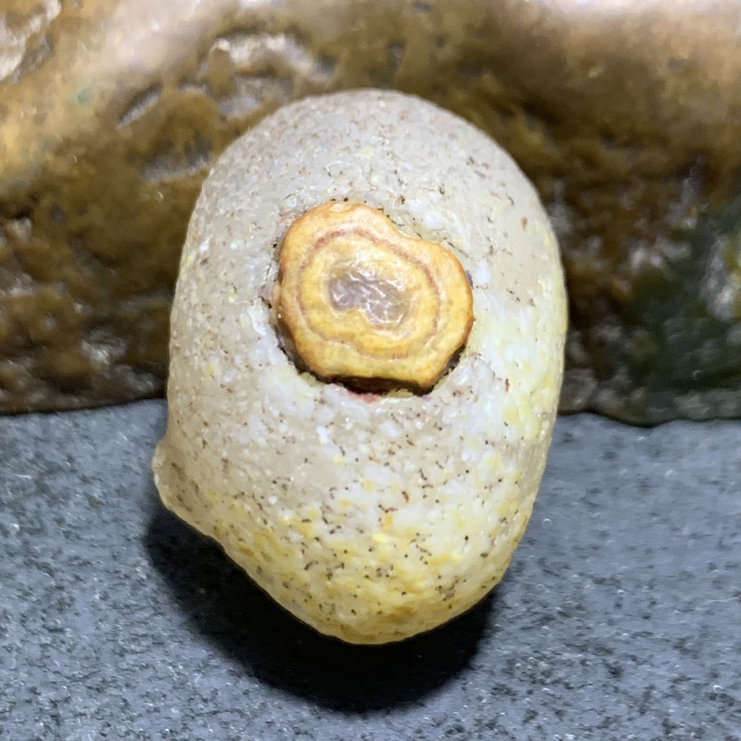 精美罕见冰透高玉化白眼石原石一颗，