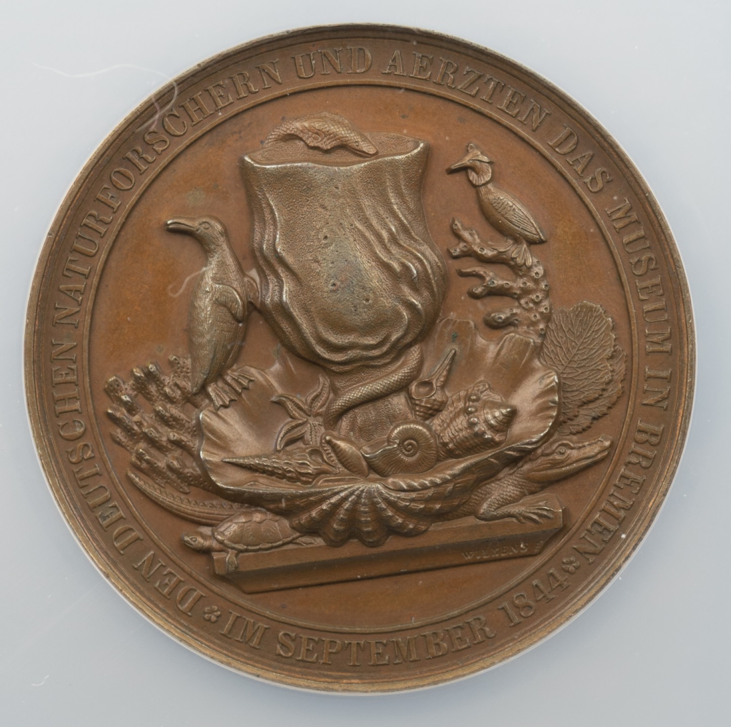 万国钱币拍卖第005期 1844年德国博物学家与医学家在布雷默自然科学博物馆会见纪念大铜章，48MM，背面的动物惟妙惟肖