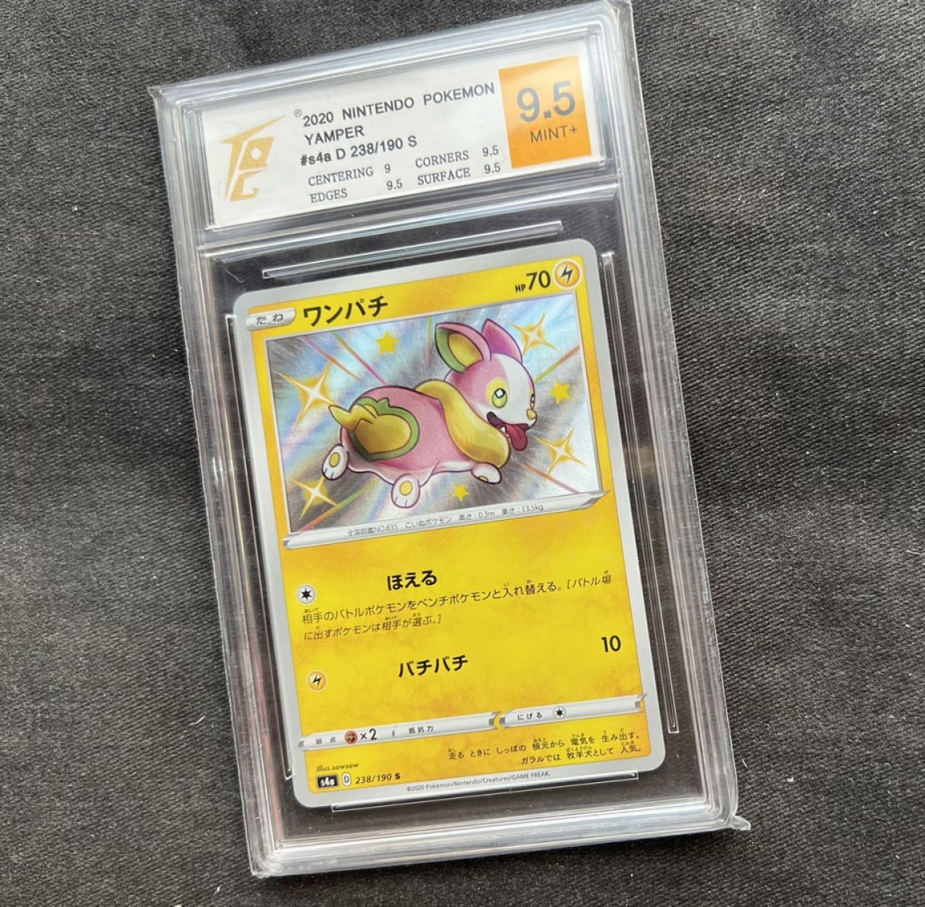 【稀奇送评】福利限时拍专场【第11期】 【TQG评级】宝可梦 来电汪