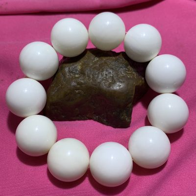 深海奶白贝化玉单圈手串一条， 深海奶白贝化玉单圈手串一条，