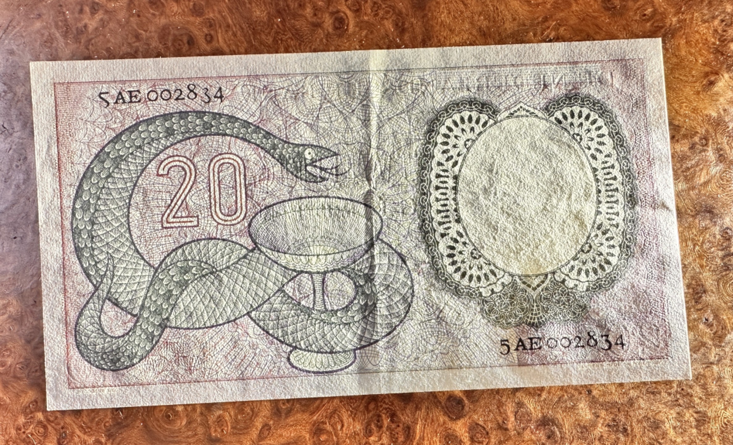 Chase Auction 第20期 - - 外钞、民国钞和人民币混合场！ 荷兰20盾，毒蛇，原票品质，品相如图，AU！50e剪壳！存世量极少 机会难得！