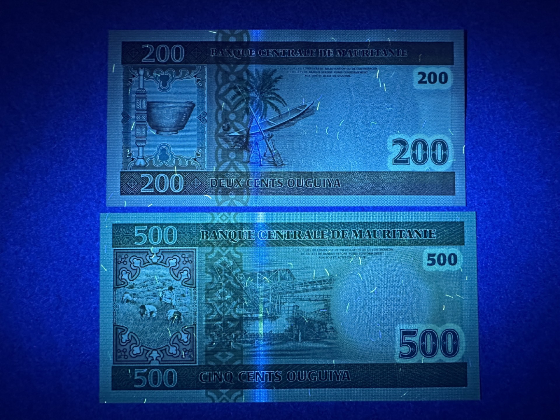 《张总收藏》96期——世界最佳纸币 毛里塔尼亚200、500元2张 UNC 2004年版