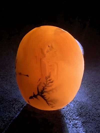 精美原皮亚光天眼草花纹战国红玛瑙手工雕刻情字吊坠一个 精美原皮亚光天眼草花纹战国红玛瑙手工雕刻情字吊坠一个