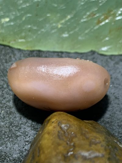 精美原皮亚光天眼草花纹战国红玛瑙手工雕刻情字吊坠一个 精美原皮亚光天眼草花纹战国红玛瑙手工雕刻情字吊坠一个