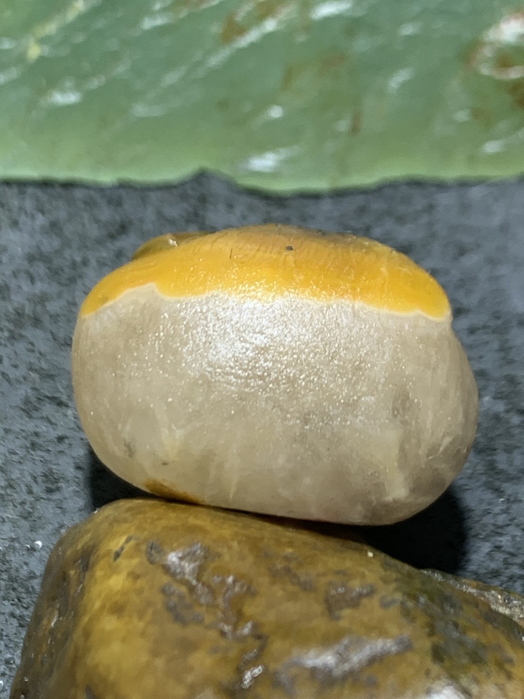精美冰飘天眼战国红玛瑙手工俏色巧雕鹦鹉吊坠一个