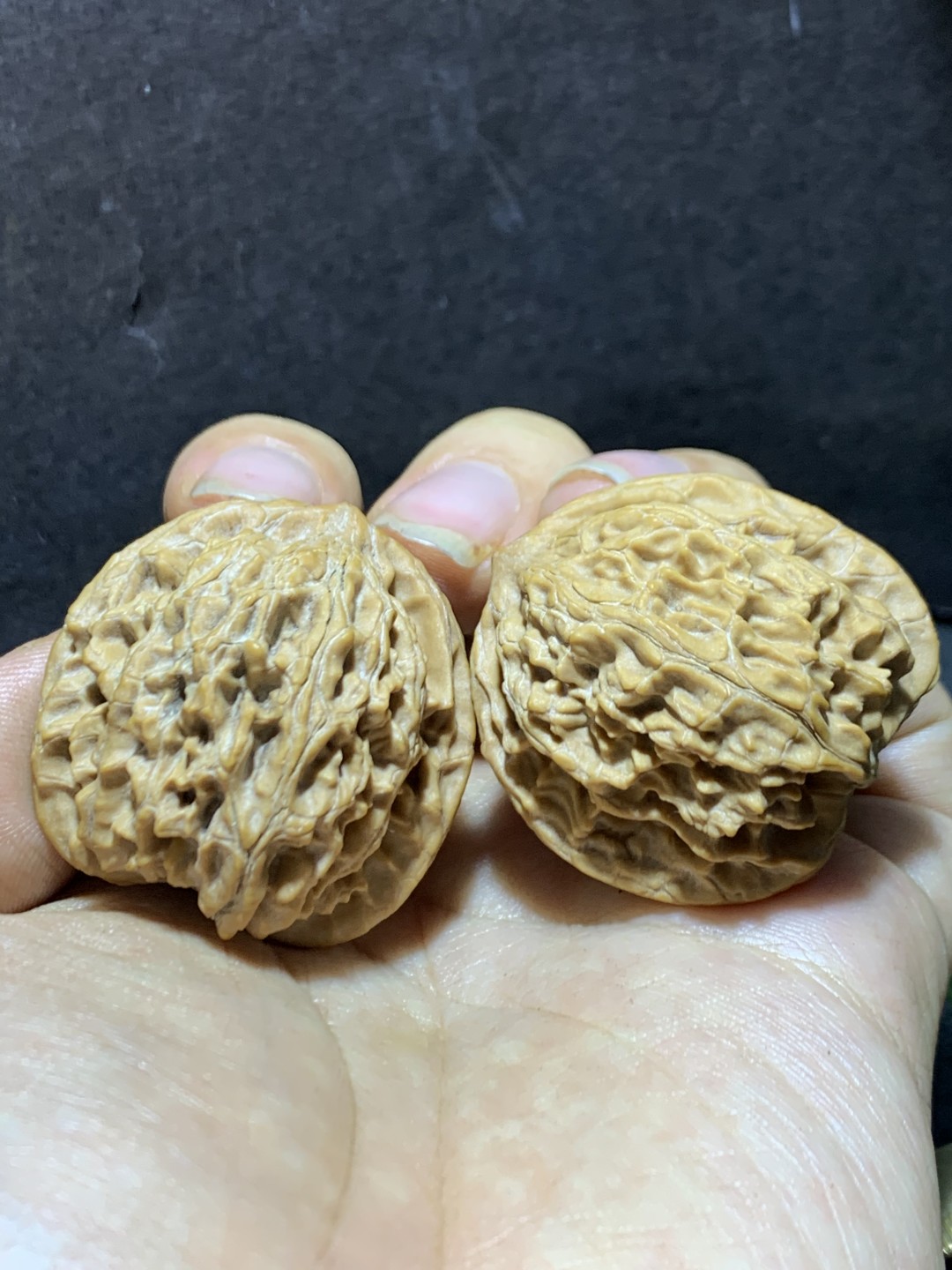 精美稀有小众凤凰岭狮子头麻核桃文玩核桃一对，