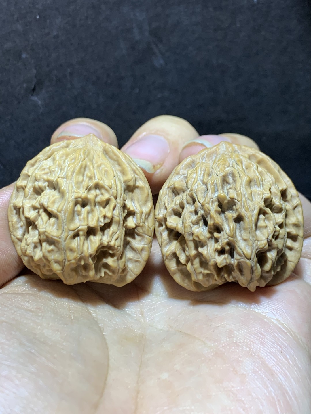 精美稀有小众凤凰岭狮子头麻核桃文玩核桃一对，