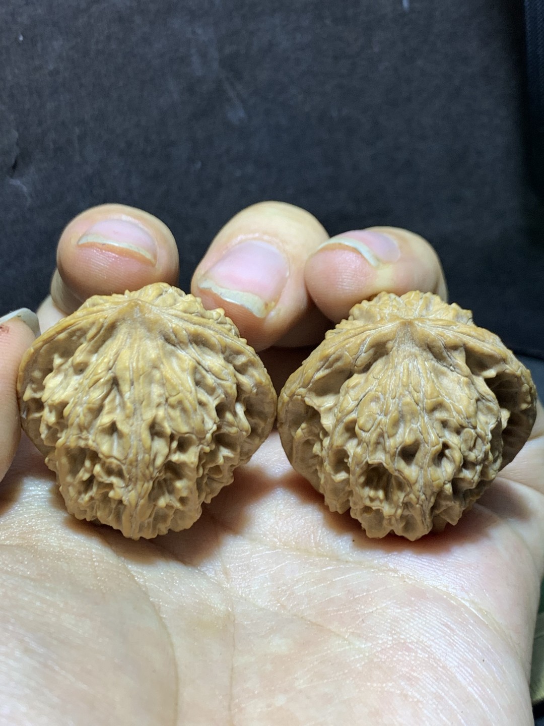 精美稀有小众凤凰岭狮子头麻核桃文玩核桃一对，