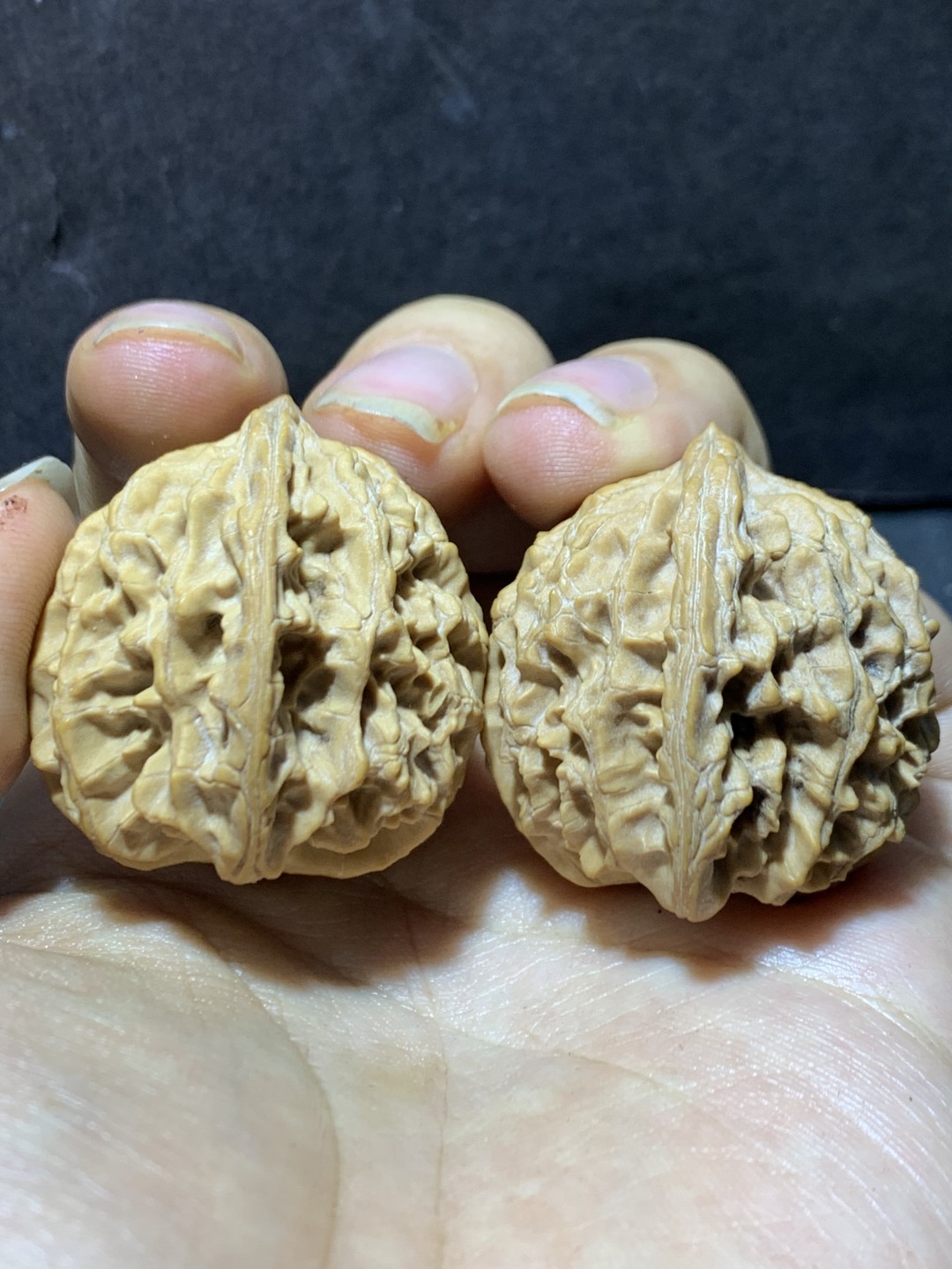 精美稀有小众凤凰岭狮子头麻核桃文玩核桃一对，